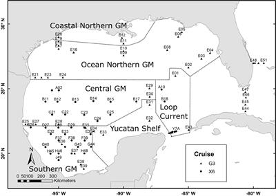 A gulf-wide synoptic isoscape of zooplankton isotope ratios reveals the importance of nitrogen fixation in supporting secondary production in the central Gulf of Mexico